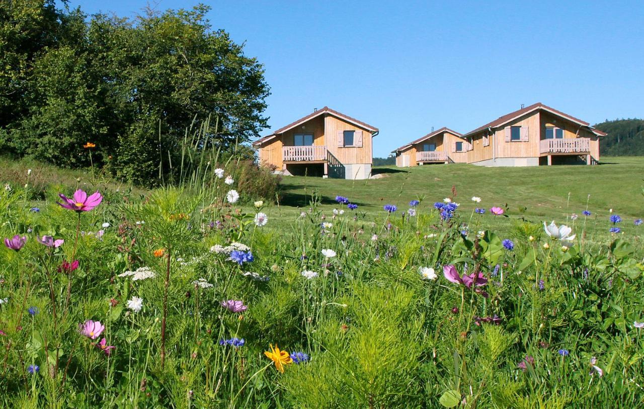 Chalets De Tremontagne 3 Etoiles Nanchez エクステリア 写真